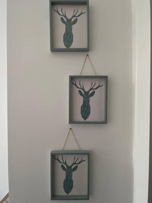Newly Refurbished Town Centre Apartment Oban Eksteriør bilde